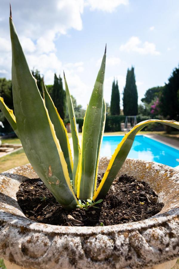Appartamento Villa Matone Grottaferrata Extérieur photo